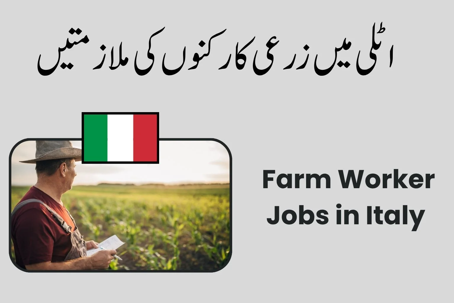 Farm Worker Jobs in Italy 2026