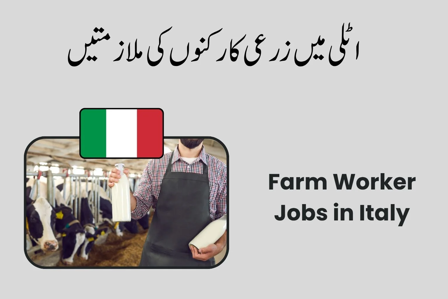 Farm Worker Jobs in Italy – Salary €1,600–€2,200 (1)