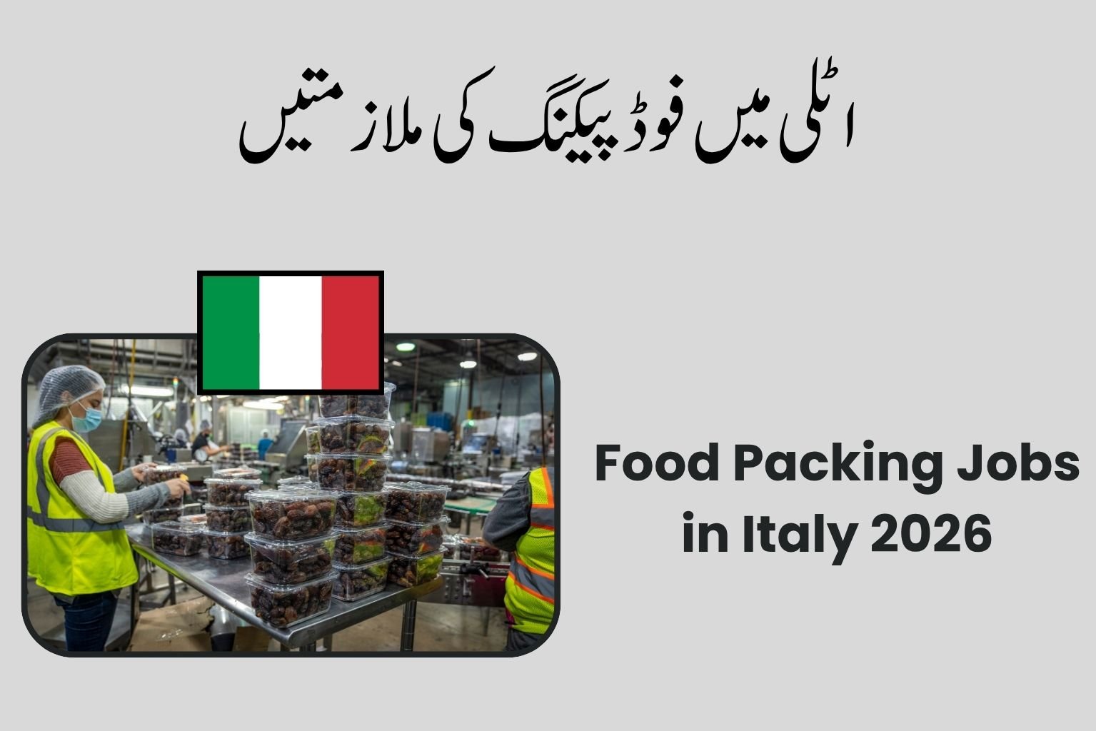 Food Packing Jobs in Italy 2026